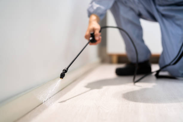 Licensed Mosquito Control service in Rainier, WA - Show Me Pest Control