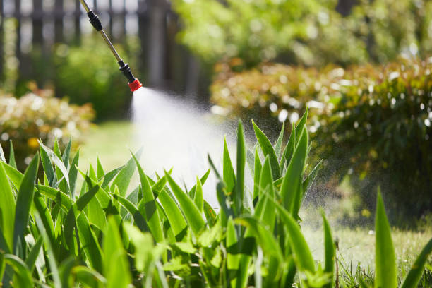 24/7 Emergency Mosquito Control experts in Rainier, WA