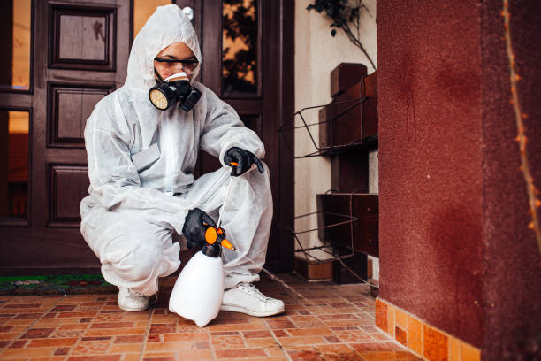 Reliable Mosquito Control contractor in Rainier, WA by Show Me Pest Control
