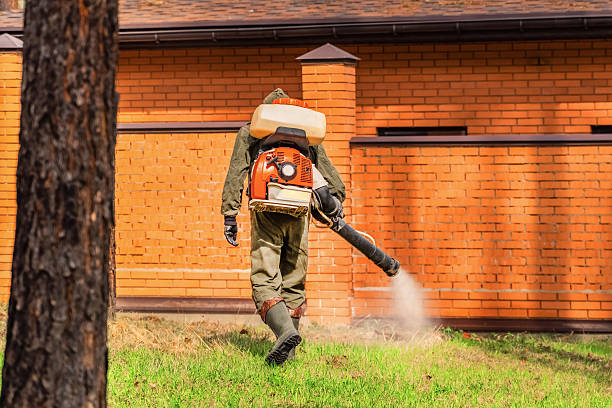 Top rated local Mosquito Control specialists in Rainier, WA